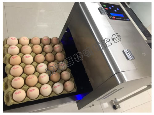 多頭雞蛋噴碼機(jī)